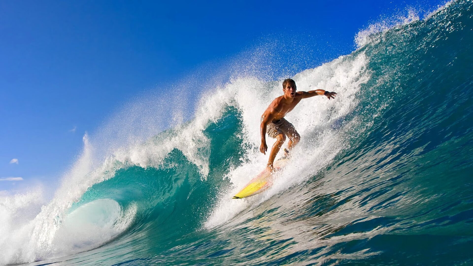 全球机器人竞赛巅峰对决,科技与体育的完美融合