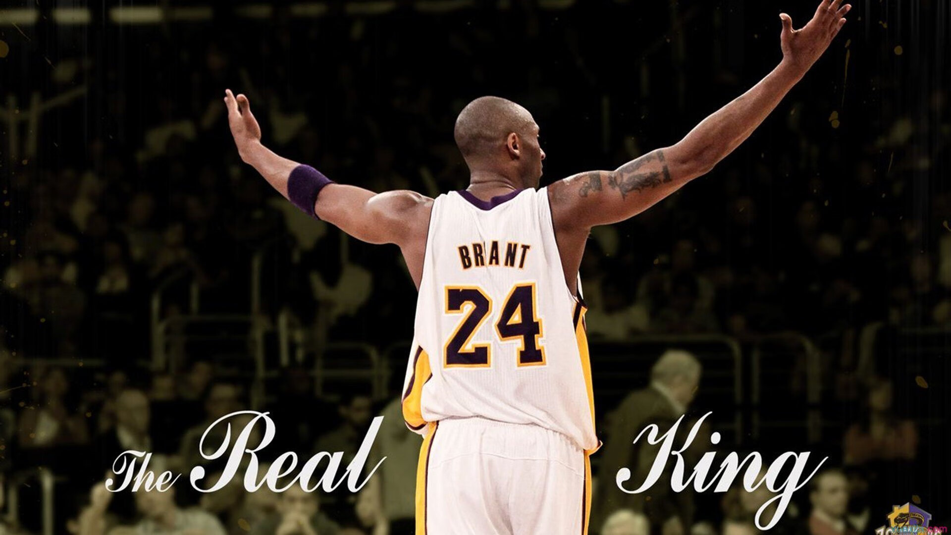 体育慈善盛典圆满落幕，明星运动员携手助力贫困地区儿童教育